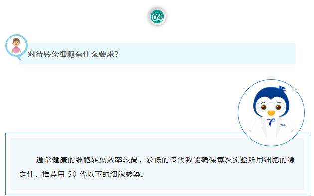 对待转染细胞有什么要求？通常健康的细胞转染效率较高，较低的传代数能确保每次实验所用细胞的稳定性。推荐用 50 代以下的细胞转染。