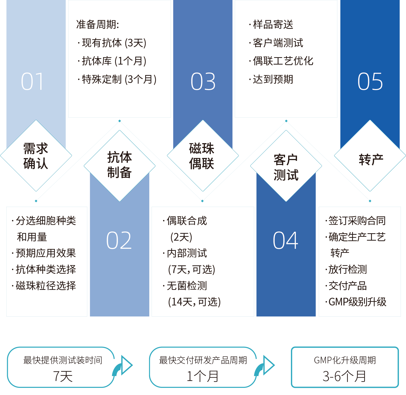 ag尊龙z6mg细胞分选激活磁珠/分选磁珠定制，定制流程