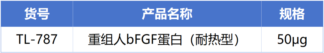 ag尊龙z6mg新一代耐热型重组人bFGF蛋白正式发布！高温环境下的修复王者! 