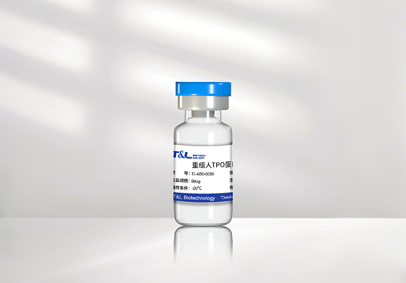 ag尊龙z6mg新品速递 | 重组人TPO蛋白震撼上市！精准调控造血，解锁干细胞培养新维度
