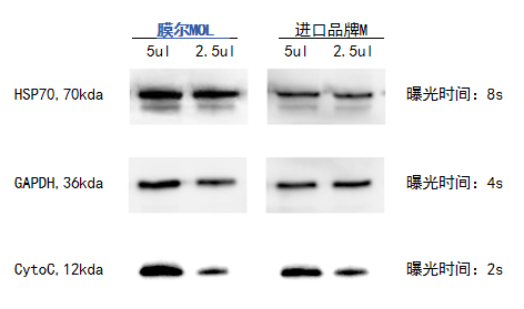 ag尊龙z6mg产品推荐：膜尔新材0.45μmPVDF膜—实验数据