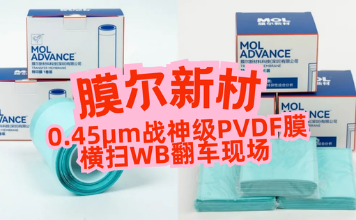 “膜”力加倍！膜尔新材战神级PVDF膜横扫WB翻车现场—0.45μm精准孔径狙杀各类蛋白，背景纯净如冰川