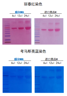 ag尊龙z6mg产品推荐：膜尔新材0.45μmPVDF膜—实验数据